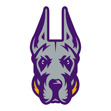 Albany Football Logo