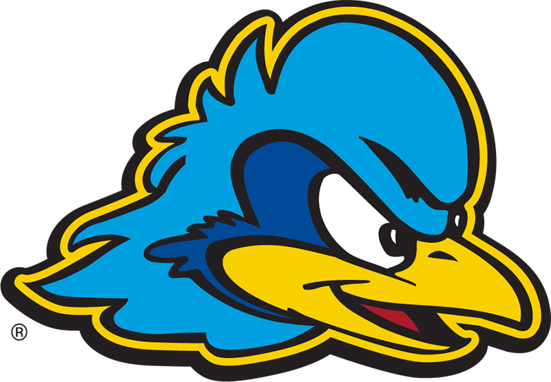 Delaware Blue Hens football