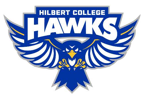 Hilbert Hawks Football Logo!