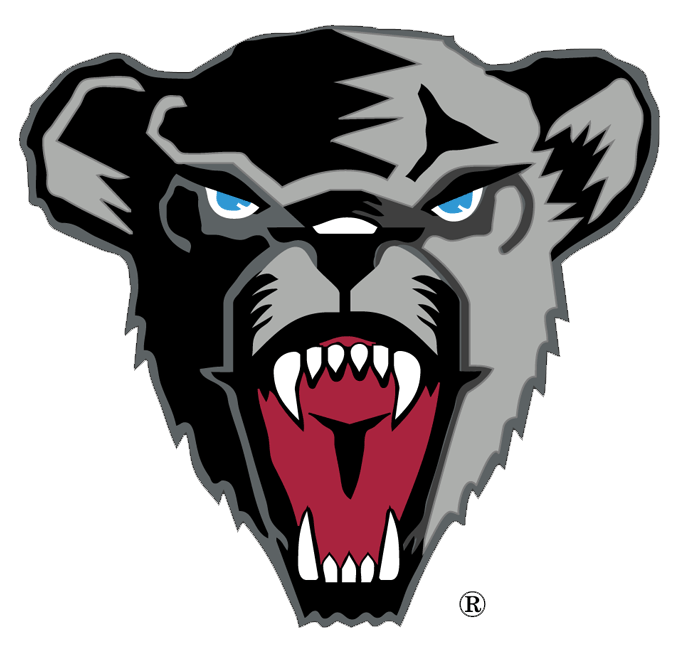 Maine Black Bears football