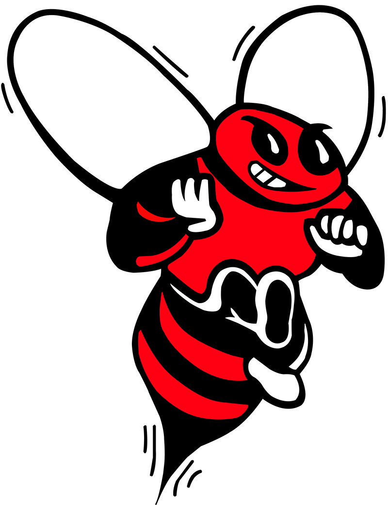 Baldwinsville Bees Football